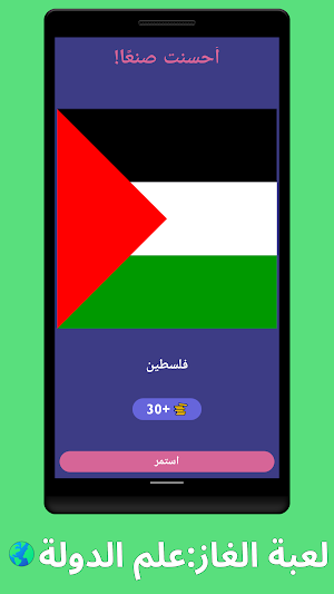 لعبة الغاز:علم الدولة Screenshot 1