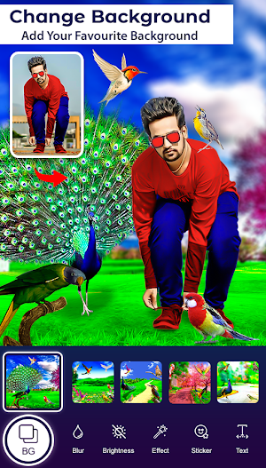 Bird Photo Editor Screenshot 3