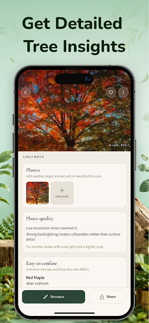 Wood Identifier App - WoodyAI Screenshot 2