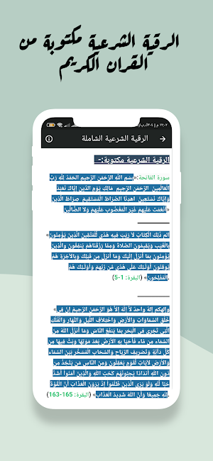القران السيد سعيد بدون نت Screenshot 3