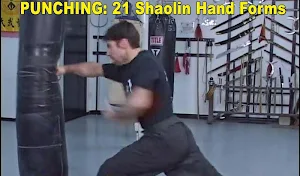 Shaolin Kung Fu w Subtitles Screenshot 3