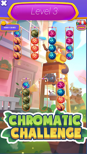 Chromatic Challenge: Braid Screenshot 3