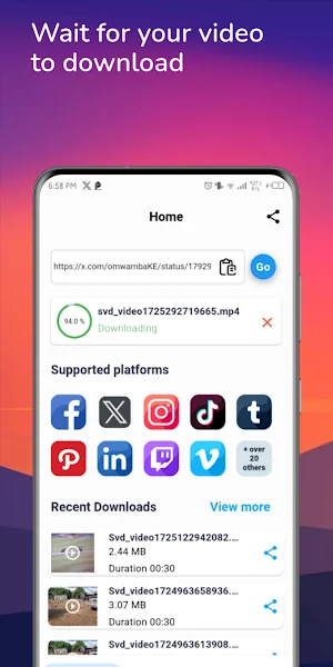 Social Video Downloader Screenshot 2