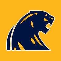 DeWitt Panthers