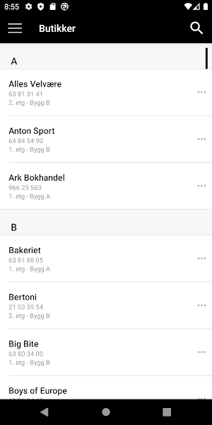 Lillestrøm Torv Screenshot 2