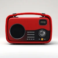 Wroq Classic Rock 101.1 Fm