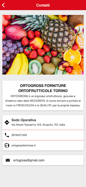 ORTOGROSS Screenshot 1