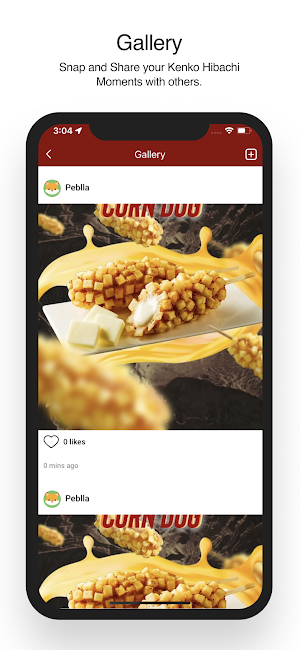 Kenko Hibachi Screenshot 3