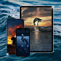 Paus Orca Wallpaper