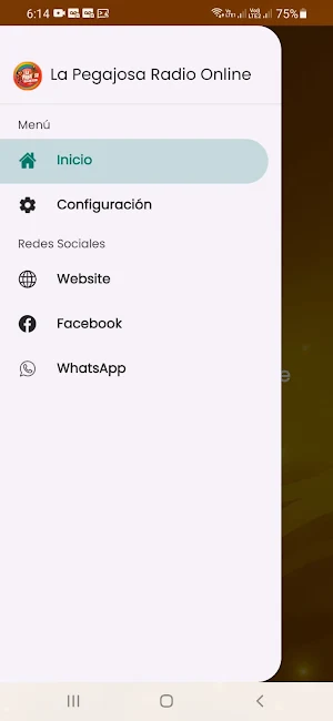 La Pegajosa Radio Online Screenshot 3