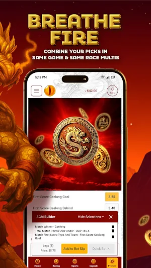 Bet Dragon Sports Betting App Screenshot 3