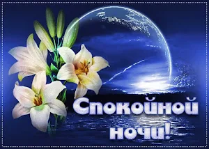 Спокойной ночи Screenshot 2