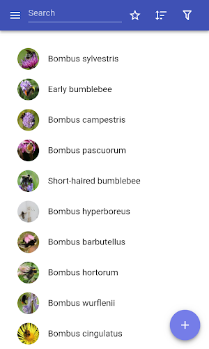 Bumblebees Screenshot 0