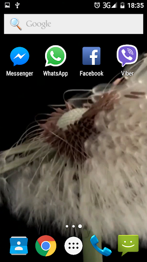 Dandelion HD Video Wallpaper Screenshot 3