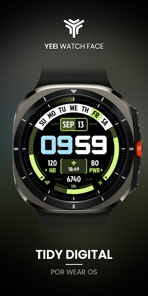 Tidy Digital: Watch Face Screenshot 0