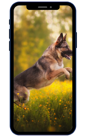 German Shepherd Wallpapers Screenshot 0