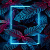 cool wallpapers