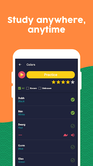 Learn Irish - Beginners Screenshot 1