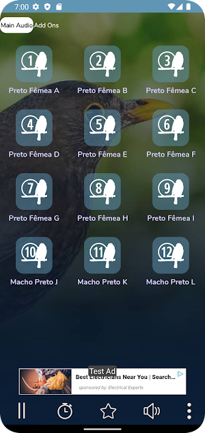 Fêmea De Pássaro Preto Chamand Screenshot 3
