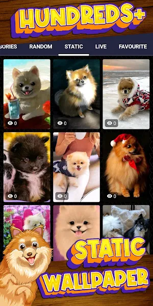 pomeranian wallpaper Screenshot 3