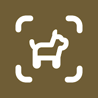 Dog Identifier - Dogby
