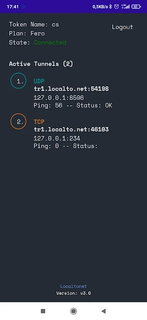 Localtonet Screenshot 1