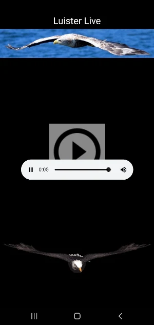Radio de zeearend Screenshot 3