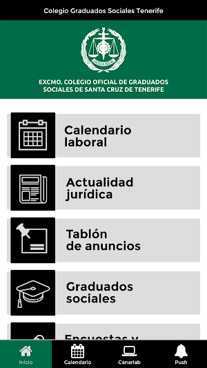 Colegio Graduados Sociales TF Screenshot 0
