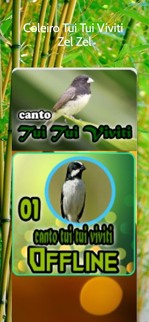 Coleiro Tui Tui Viviti Zel Zel Screenshot 0