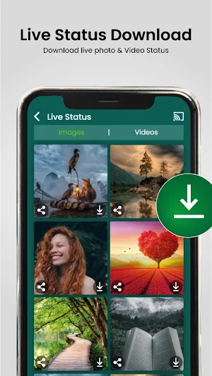 Status Saver Video Downloader Screenshot 0