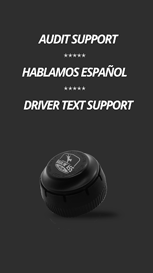 Haulin' Ass ELD Screenshot 3