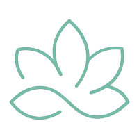 SAFE: Wellbeing to Heal