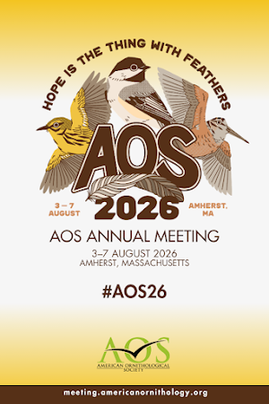 AOS 2026 Screenshot 0