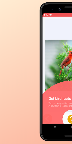 Bird Images and Facts Screenshot 2