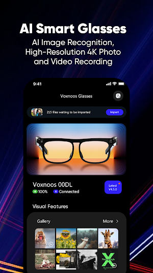Voxnoos Screenshot 0