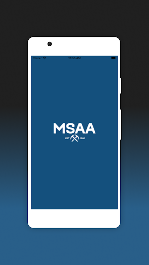 MSAA Screenshot 0