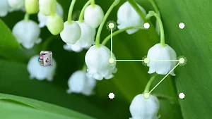 AppLock Theme Lily of the Valley Screenshot 3