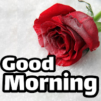 Good Morning  Stickers