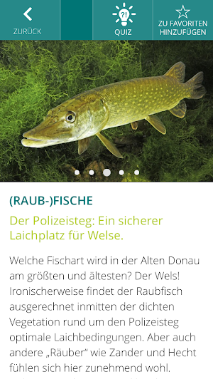 Wiener Wasserweg Screenshot 2