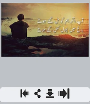 Abdul Hameed Adam Shayari عبدالحمید عدم Screenshot 0