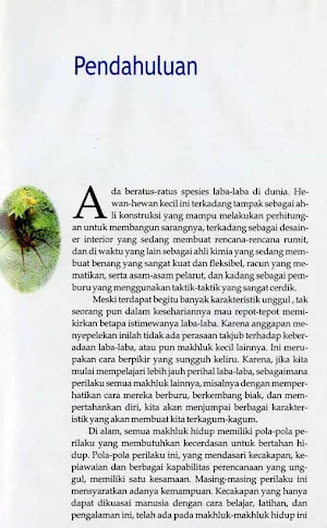 Keajaiban Pada Laba-Laba Screenshot 1