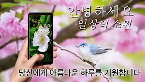 Korean Good Morning Everyday Screenshot 0