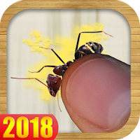Ants Bugs Smasher