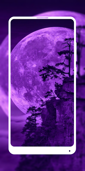 Dark Purple Aesthetic Screenshot 3