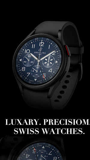 Breitling 1884 Chronograph Screenshot 2