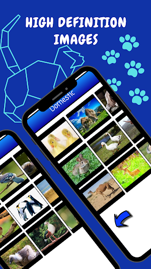 Animal Sound Game Screenshot 3