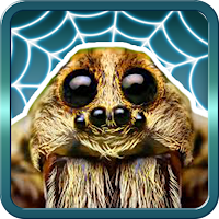 Spider Gagambattle!