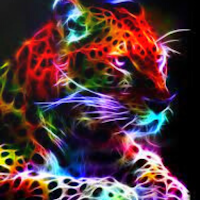 Animals backgrounds hd 4k