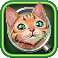 Hidden Object : Mystery