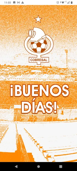 Cobresal Screenshot 2